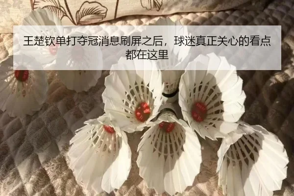王楚钦单打夺冠消息刷屏之后，球迷真正关心的看点都在这里